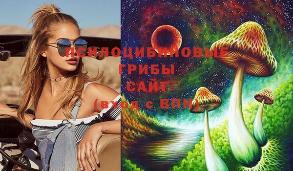 мяу мяу мука Алзамай