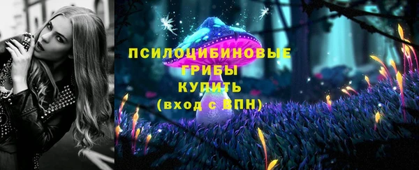 ешки Алексеевка