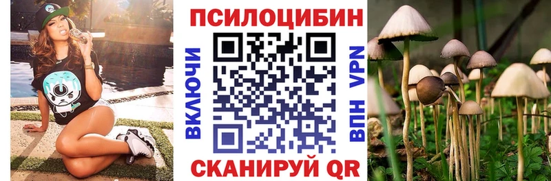это наркотические препараты  Советская Гавань  Псилоцибиновые грибы Magic Shrooms 