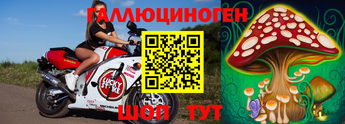 купить наркоту  Галлюциногенные грибы MAGIC MUSHROOMS  Вход с VPN  Советская Гавань 
